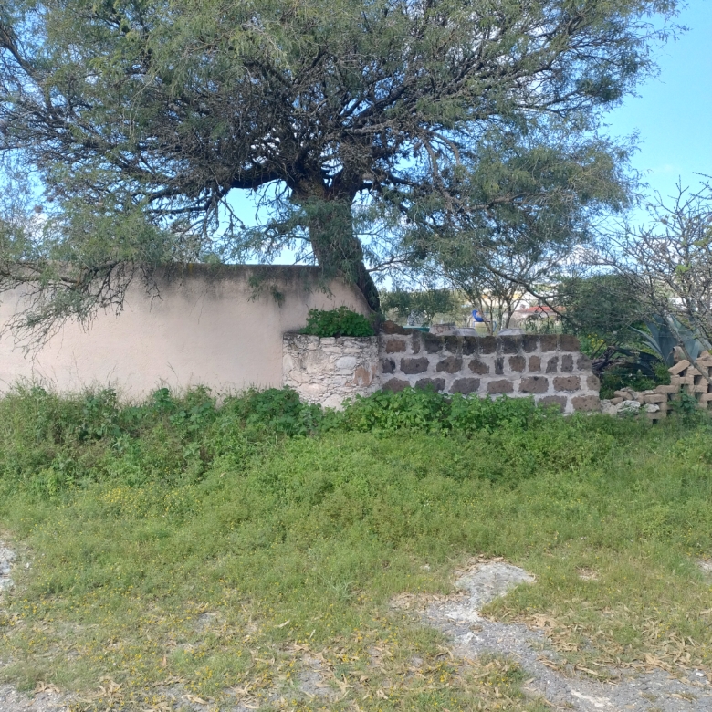 8801 Pozos, Cabaña Mágica Mineral de Pozos