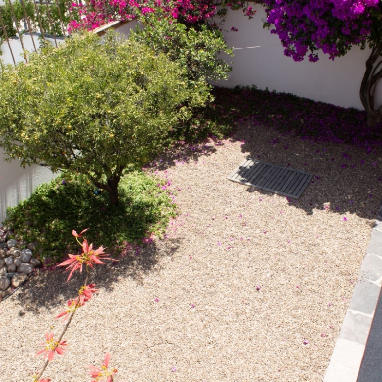R24 House for Rent in Barrio de La Aldea, San Miguel de Allende