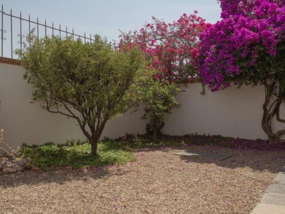 R24 House for Rent in Barrio de La Aldea, San Miguel de Allende
