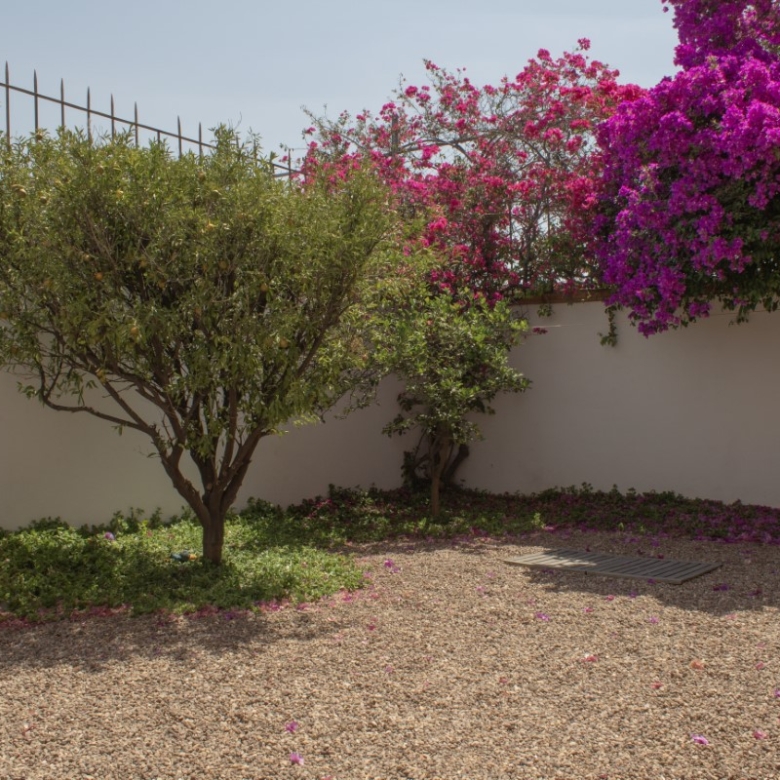 R24 House for Rent in Barrio de La Aldea, San Miguel de Allende