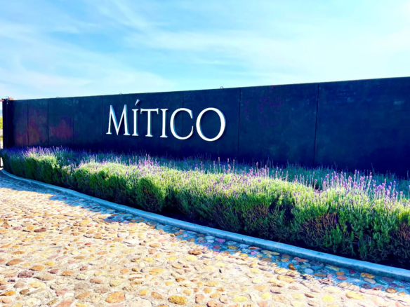 Large 'MITICO' letters on a dark wall, with lavender shrubs in front and a stone-paved path under a blue sky.