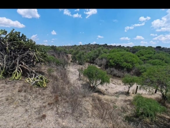 1912 Ranch for Sale,
