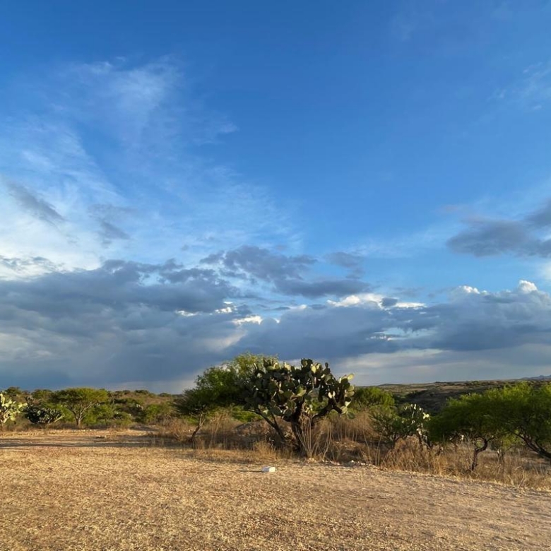 1912 Ranch for Sale,