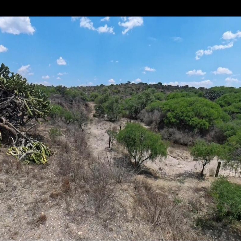 1912 Ranch for Sale,