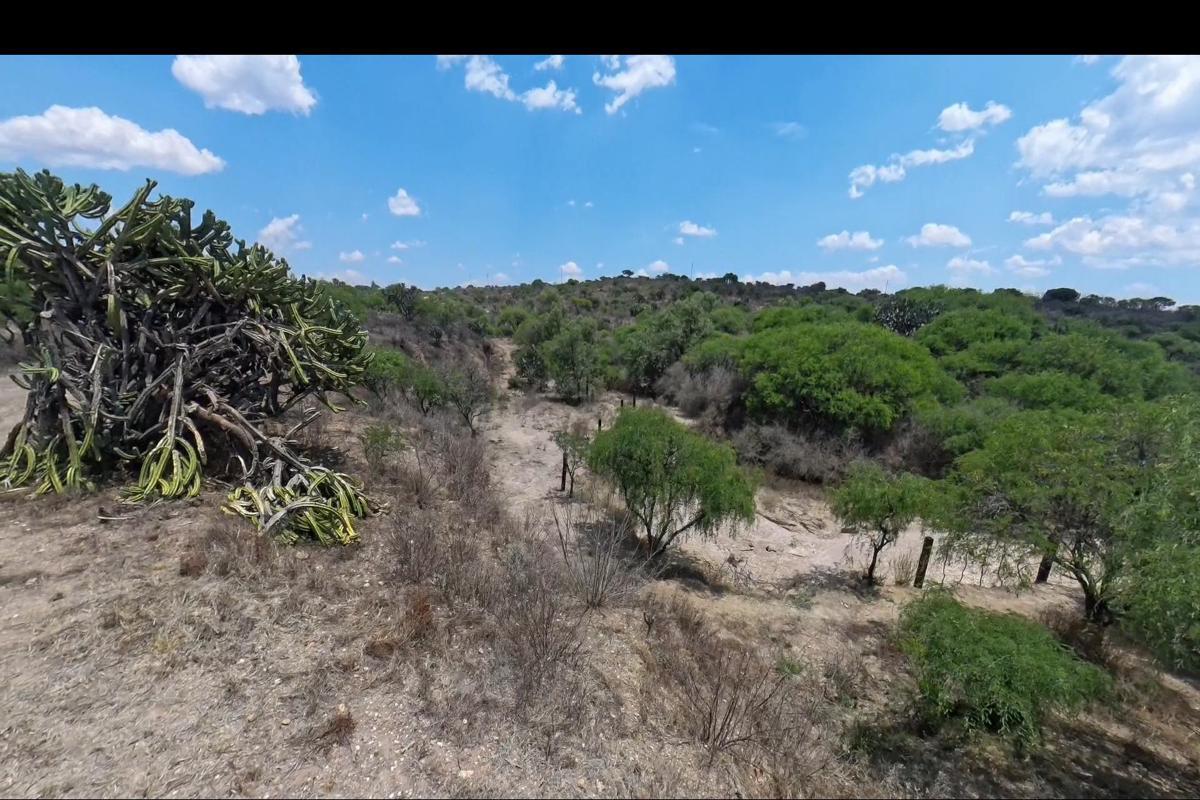 1912 Ranch for Sale,