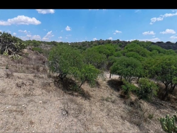 1912 Ranch for Sale,