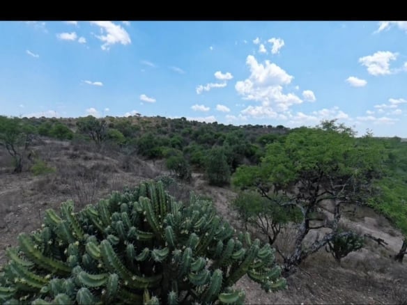 1912 Ranch for Sale,