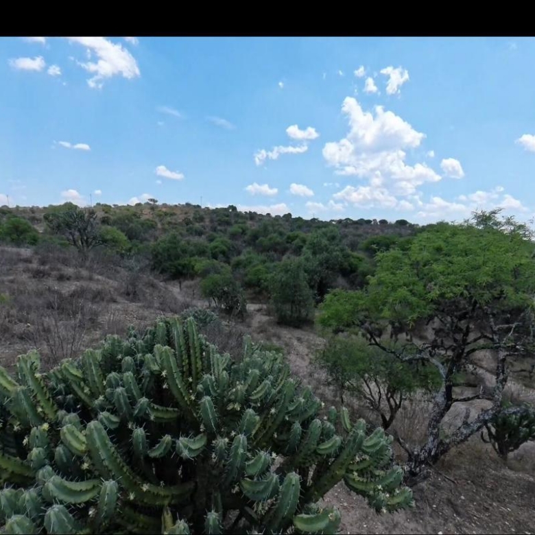 1912 Ranch for Sale,