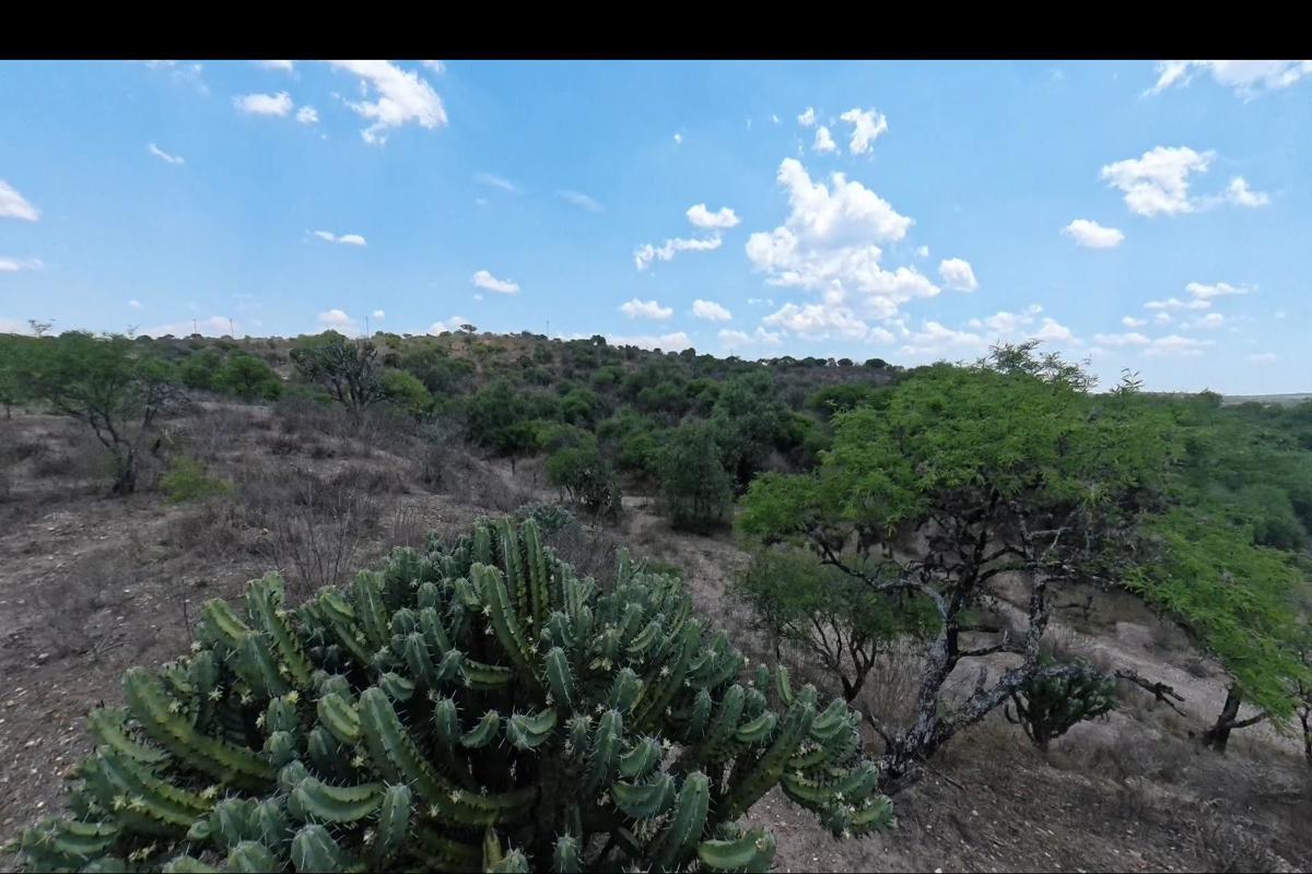 1912 Ranch for Sale,
