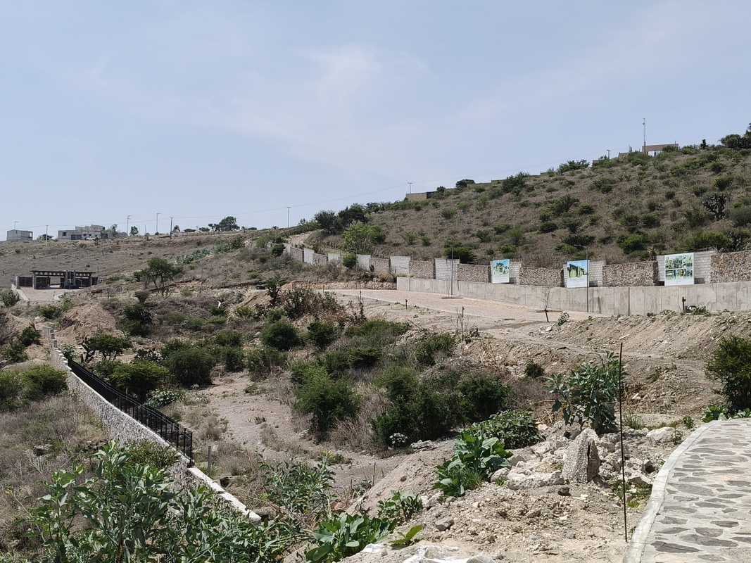 1703 Terrases – Sahai