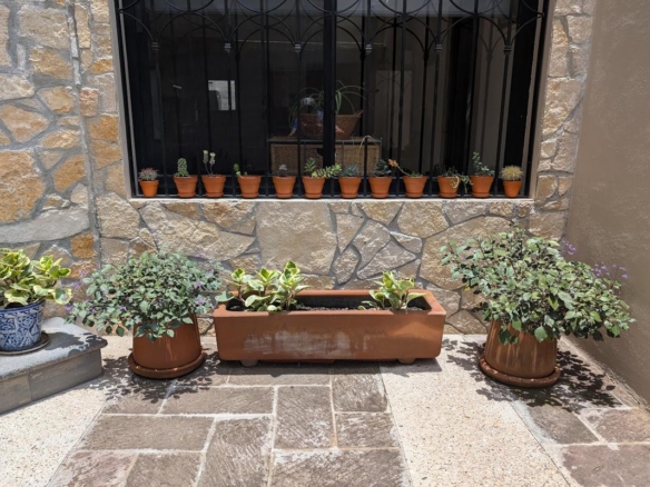 1959 San Antonio House for Sale