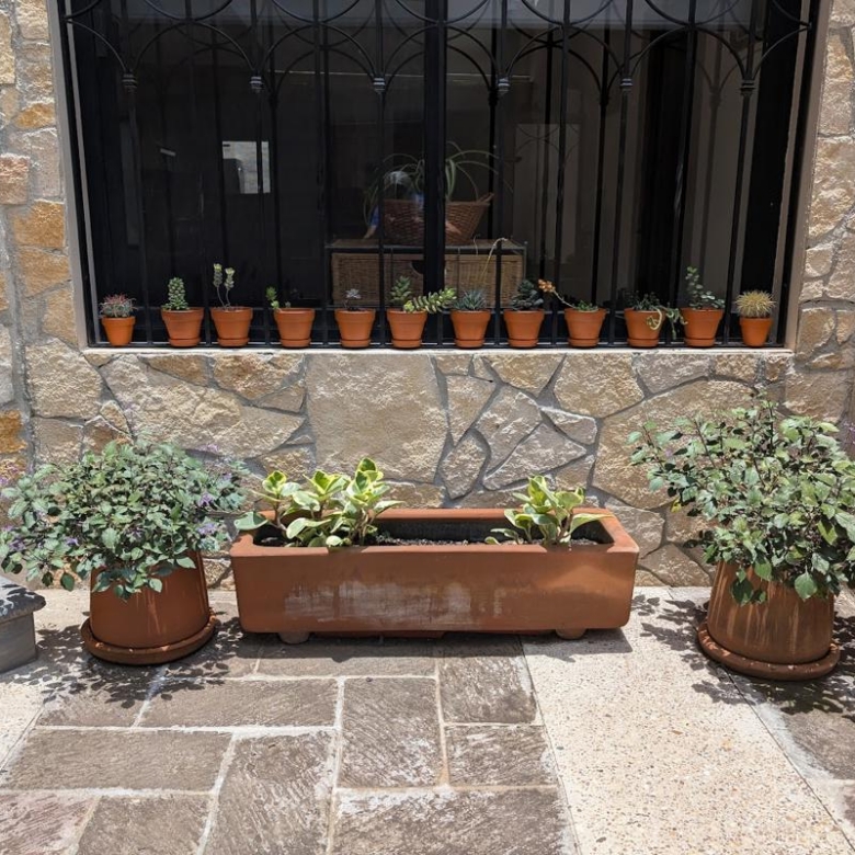 1959 San Antonio House for Sale