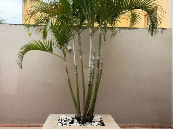 R – 1935 House for Rent in Mexiquito
