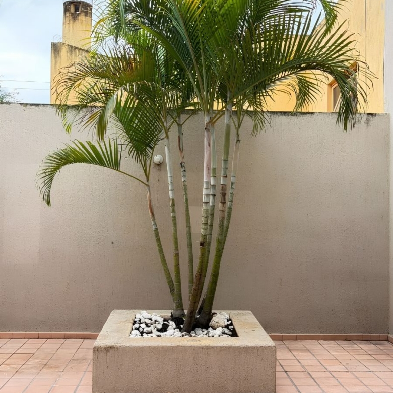 R – 1935 House for Rent in Mexiquito
